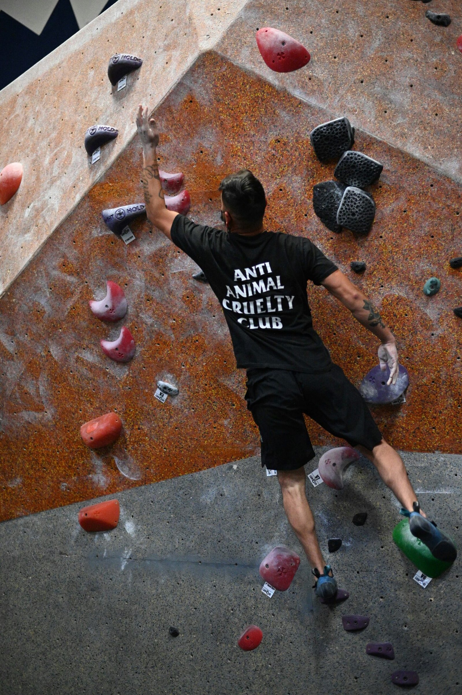 "TRBJ: Bold Moves, Strong Vibes, No Limits"