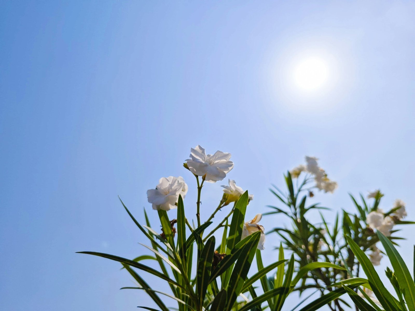 Top Health Benefits of Proper Sun Protection