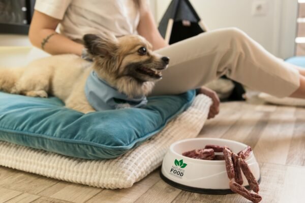 Nutritious and Delicious Dog Food for Health Nutritious and Delicious Dog Food for Health