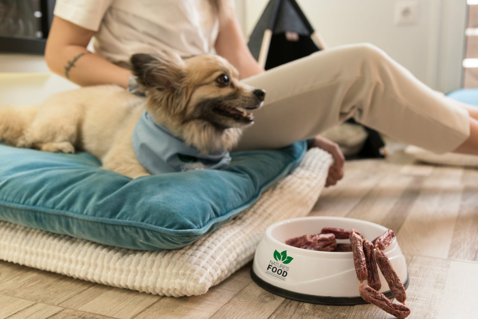 Nutritious and Delicious Dog Food for Health